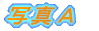 ʐ^` 