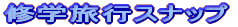 CwsXibv