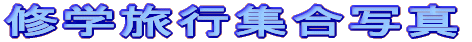 CwsWʐ^